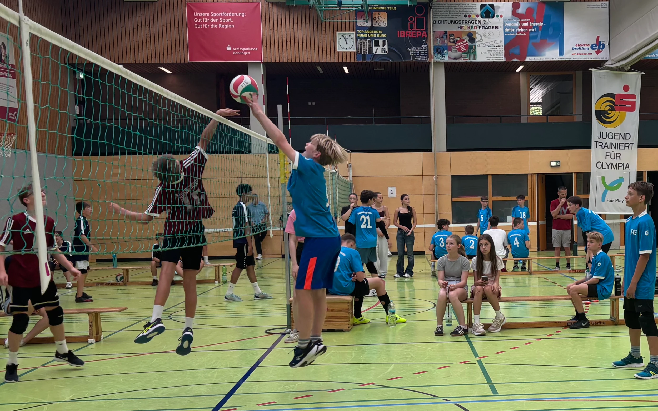Bild 6: THG-Volleyballer erreichen das Landesfinale!
