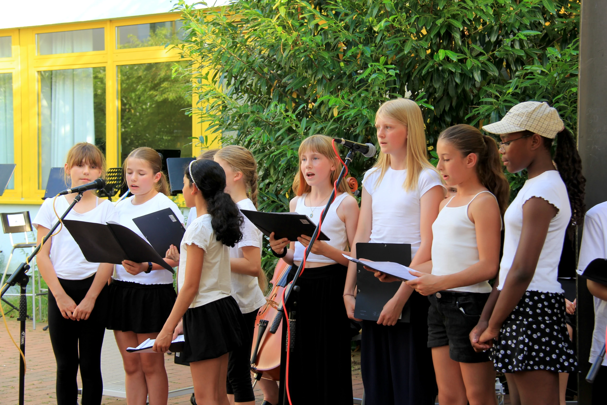 Bild 5: Open Air-Sommerkonzert am Theodor-Heuss-Gymnasium