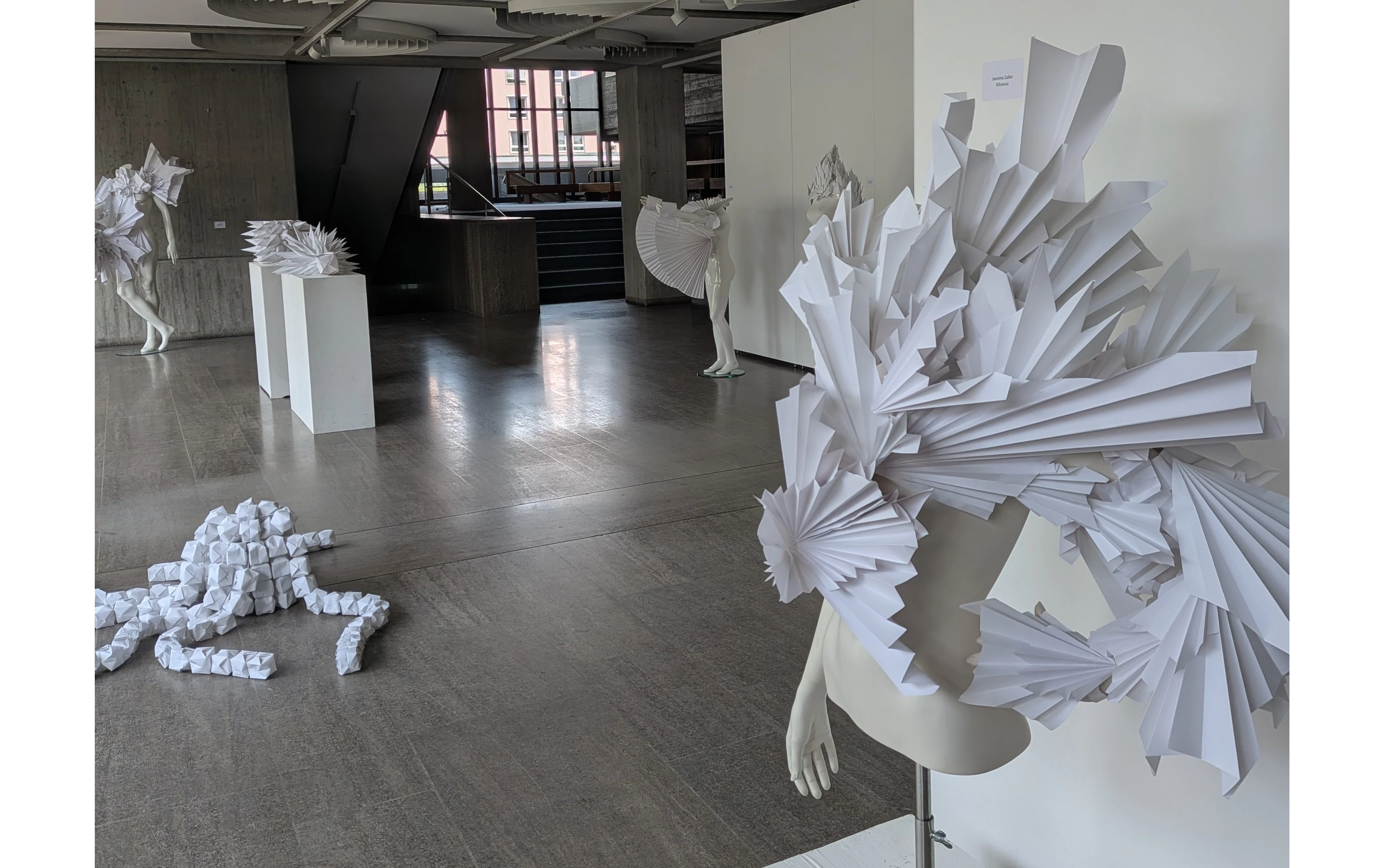 Bild 1: Ausstellung des THG im Rathaus