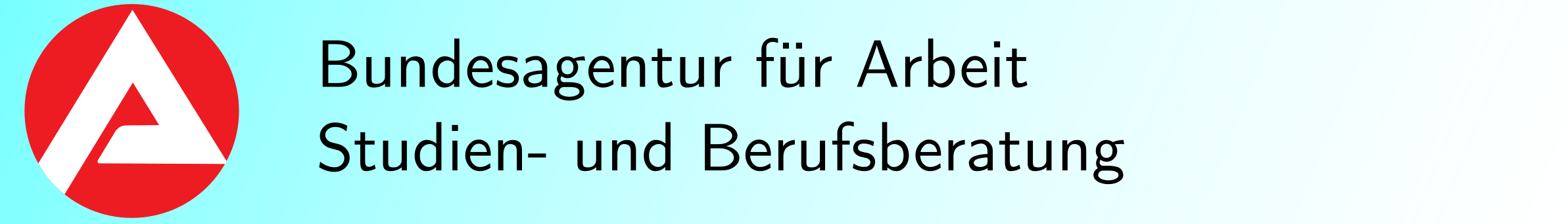 Die Bundesagentur für Arbeit informiert und berät zu allen Fragen rund um die Themen Berufsausbildung und Studium an dieser Schule. Weitere Informationen dazu im Portal der Bundesagentur für Arbeit.